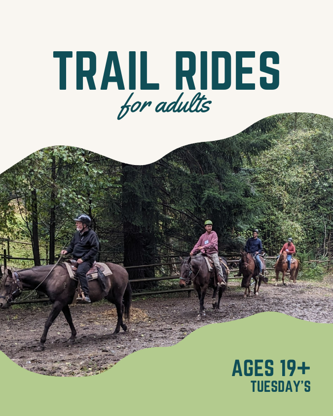 Trail rides for Seniors
