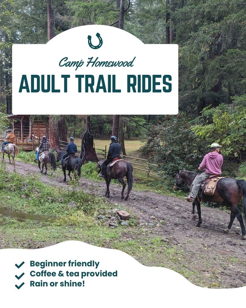 Trail rides for Seniors